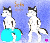 Seth(OC for Felix0409)