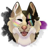 What a gay pupper!