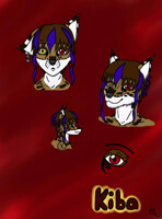 Kiba Ref 1 - Request