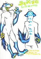 Spitse ref sheet (design for DragonsFreedom196)