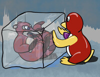 Austin and Pengo, 6 February 2024