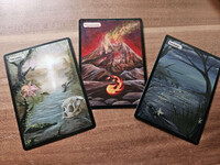 .: Swamps & Mountain - Magic the Gathering Alteration :.