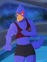 Falco Sparring