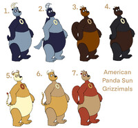 American Panda Sun Grizzimals Collage