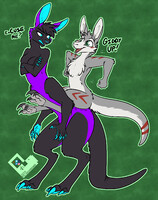 Roos SemperVictor & Kikali