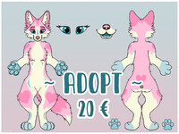 Canine Adopt fixed price