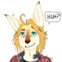Huh? [Comm]