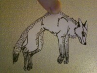Wolf Paper Child