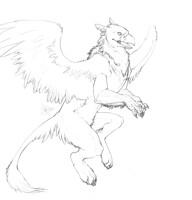 A Gryphon