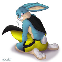 Super Bunny!