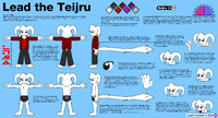 Lead the Teijru Reference Guide ver 1.0