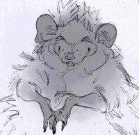 Hedgehog