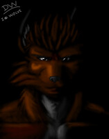 The Dark Light Wolve