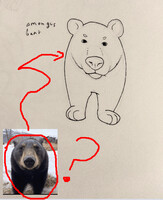 amongus bear