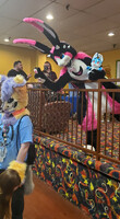 Delaware Furbowl 85 - Bunny Antics