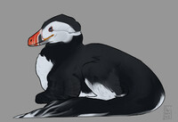 Puffin-Hesperonychus