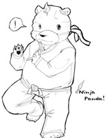 HE'S a NINJA, PEOPLE! A FRICKING NINJA!
