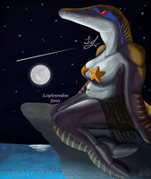 Stargazer