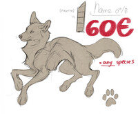 YCH CANINE REFERENCE (TAKEN)
