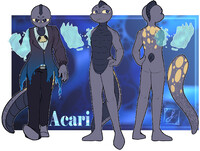 Character upgrade commission