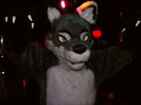 RAWR!  Its a folf.