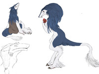 Sergal art