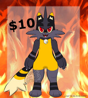 (OPEN) Torracat Adopt