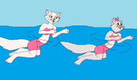 Duchess and Marie are swimming at the sea