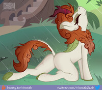 Autumn Blaze and spring rain