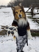 Rough Collie Realistic Fursuit (Partial)