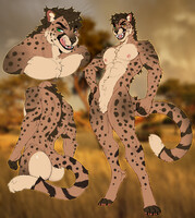 Cheetah adopt (sold)