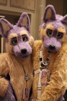 dershep and lavshep