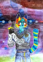 raccoon police department