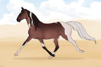 Standardbred Auction Adopt 4