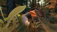 Terrakion farts on me