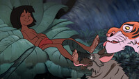 Mowgli Feet Licked by Sher Kahan and Tabaqui 1 by WinserFerret -- Fur ...