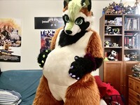 One week till FE2024