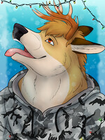 YCH catching snow Daxx