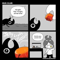 Bug Club: Beetle Jelly