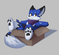 fox in a box