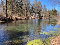 Paradise Springs Nature Area #2
