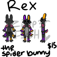Spider Bunny Adopt - OPEN