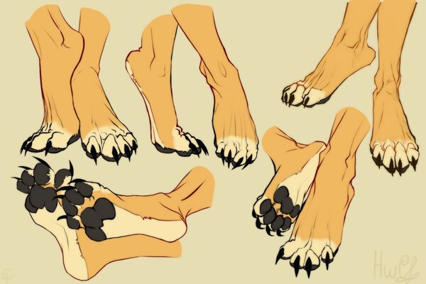 Paw Fashion 1: bare paws by doraneirok -- Fur Affinity [dot] net