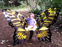 Grumpy  Metapod has EVOLVED!