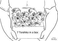 7 Torahiko in a Box