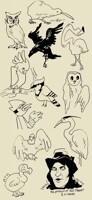 burds