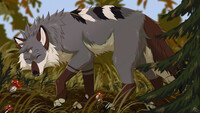 Forest inhabitant