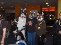 Bowlingabend in Dresden 16.04.2011 Fursuiter beim Bowlen