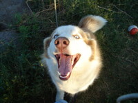 HHHHHIIIIIIIIIIIII!!!!