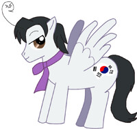 Pegasus originated in Korea 8D